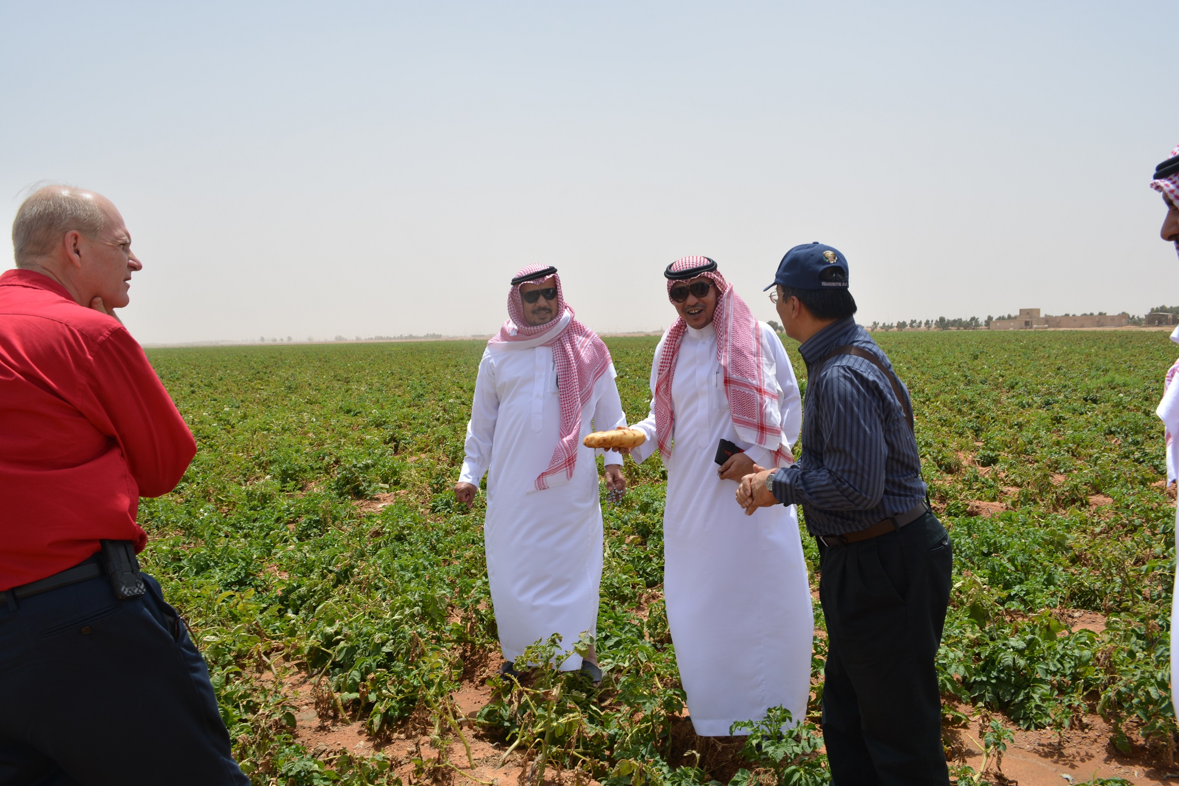 دور الزراعة في محاربة الفقر وتطوير الأرياف