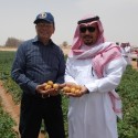UA, Saudi Universities Partner on Farming Solutions