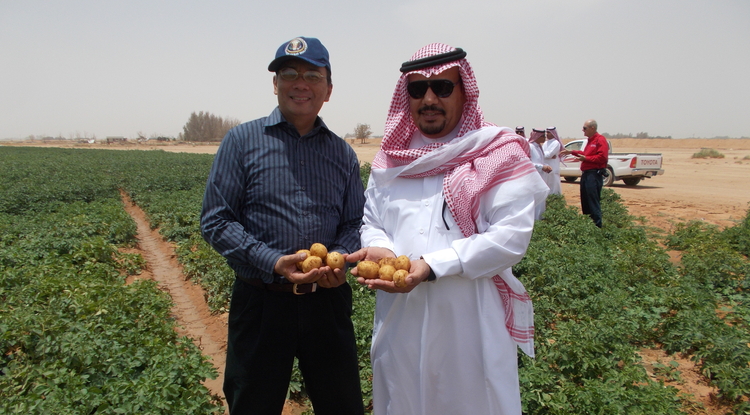 UA, Saudi Universities Partner on Farming Solutions