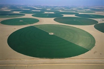 Saudi Arabia’s quest for “food security”