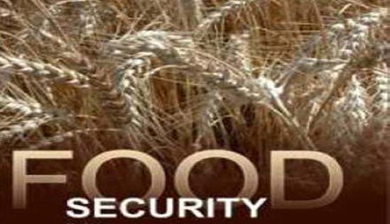 Doha to organize food security conference