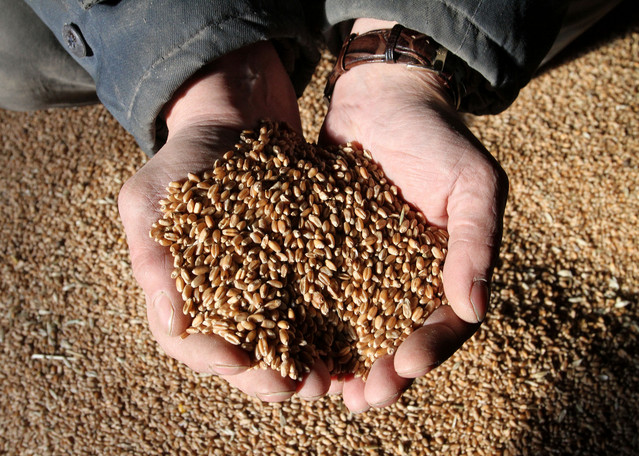 Saudi Arabia dreams of food security