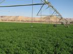 How conserving water won over agricultural production