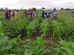 Saudis Seek to Invest in Sudan Farm Sector